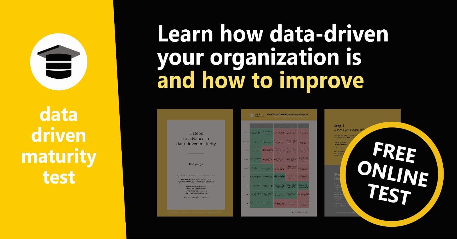 Data-Driven Maturity Test